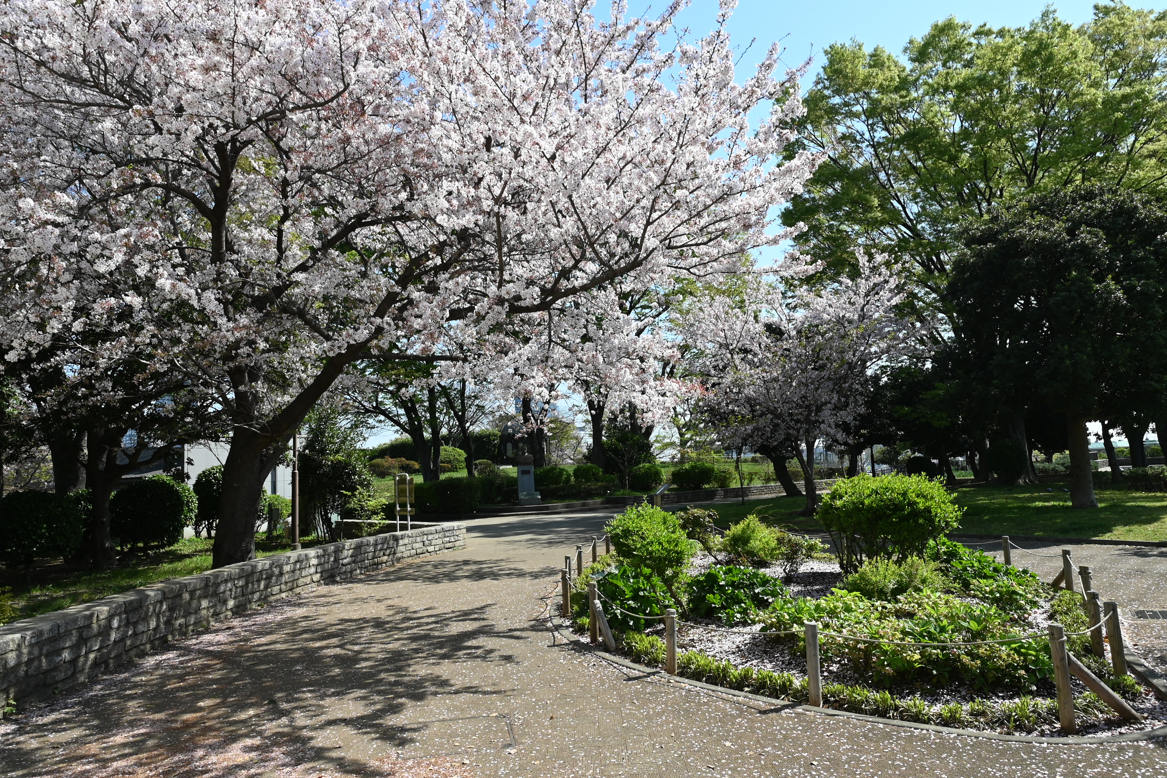野毛山公園【横浜市】